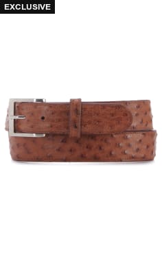 Cavender's Men's Chocolate Ostrich Print Western Belt