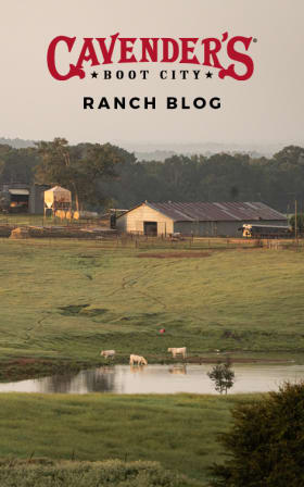 Cavender's Ranch Western Blog