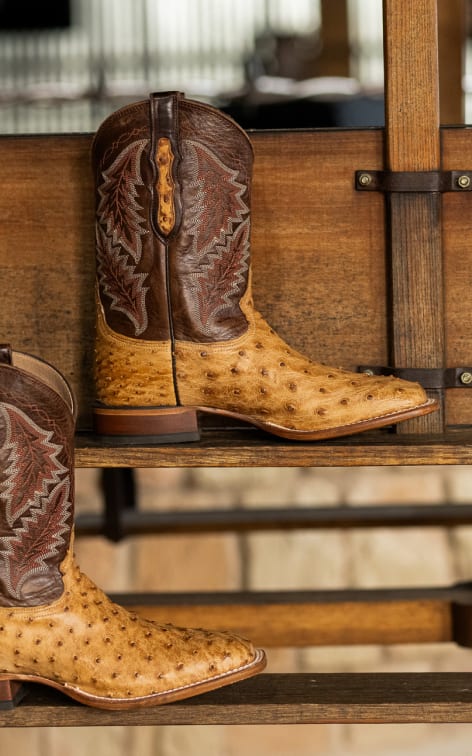 Exotic Boots